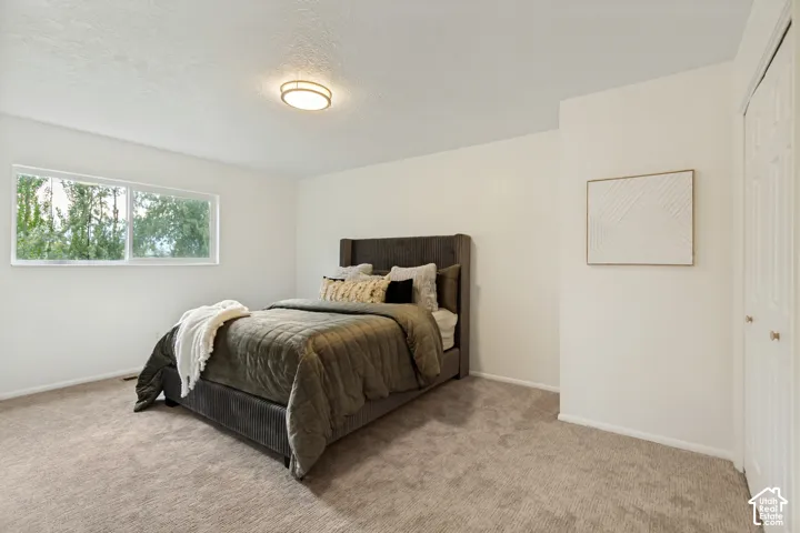 Neutral carpeting, white painted walls, and a horizontal window with a white frame