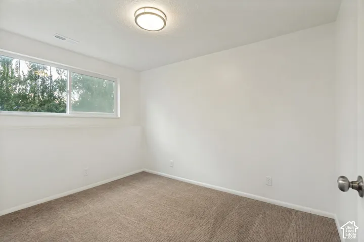 Recessed window with exterior scenery, overhead flush-mount light fixture, and carpeted flooring