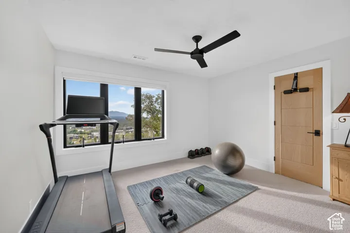 Expansive window, modern ceiling fan, light-toned wood-paneled door, and neutral carpeting