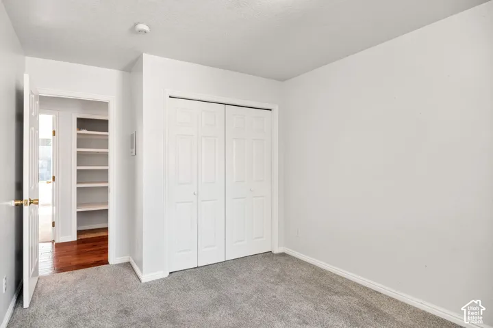 Textured grey carpeting, white bi-fold closet doors, and white walls
