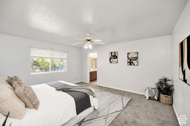 Recessed window with horizontal blinds, overhead ceiling fan with lighting, wall-to-wall carpeting, and light-toned wall finishes