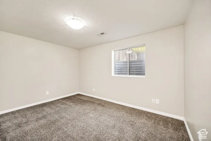 Neutral wall paint, plush carpeting, white trim, and a flush mount ceiling light