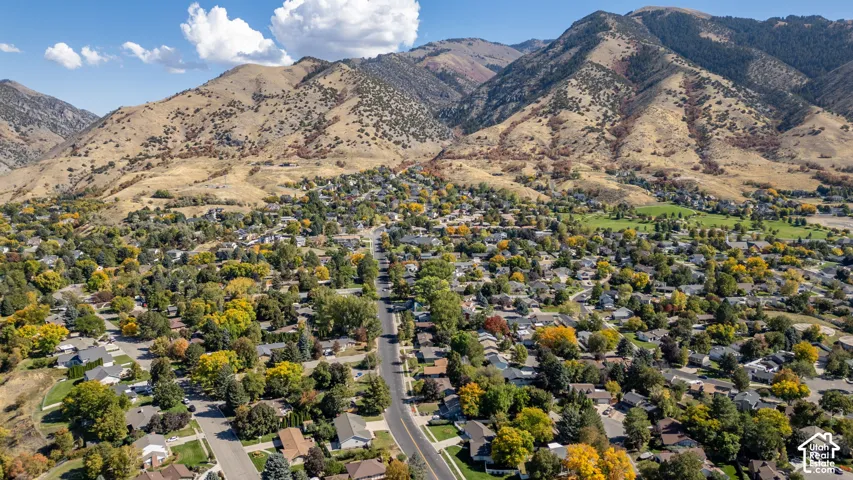 Mountain backdrop with residential properties and extensive tree coverage