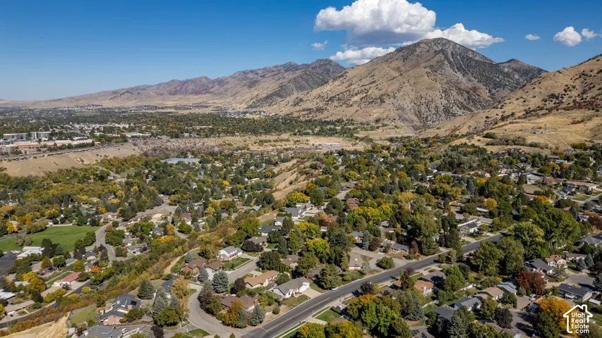 Expansive neighborhood featuring mature trees, residential properties, and paved roads