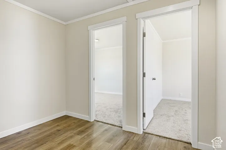 Wood-finish flooring, neutral wall paint, white trim, and two door openings