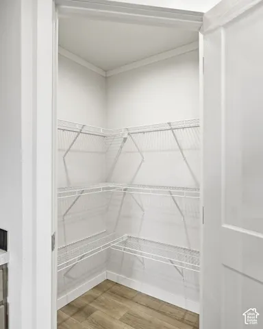 Walk-in pantry featuring multiple levels of wire shelving and wood-finish flooring