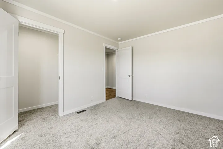 Neutral wall paint, crown molding, and light-colored carpet flooring