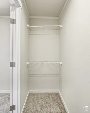 Built-in wire shelving, plush carpet flooring, and neutral wall tones