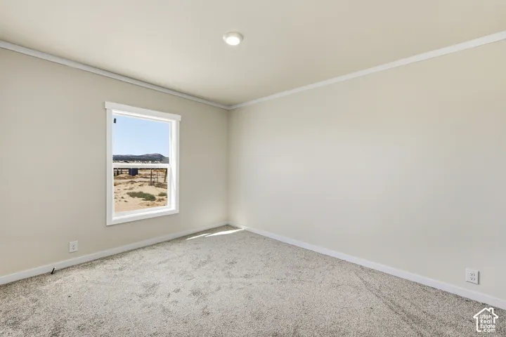 Recessed ceiling light, neutral wall paint, white trim, window with white framing, and light-colored carpeting
