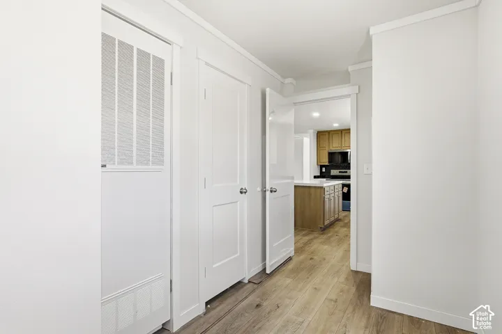 Wood-finish flooring, white paneled doors, and a partial view of a kitchen with wood cabinetry