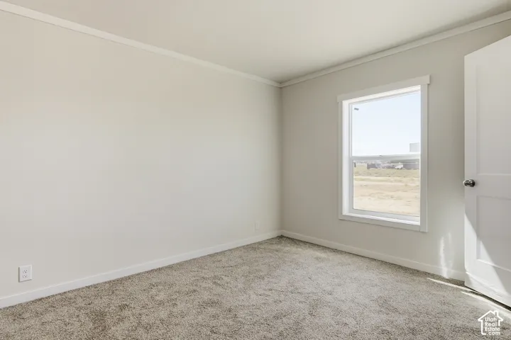 Neutral wall color, window with white trim, white baseboards, and carpeted flooring