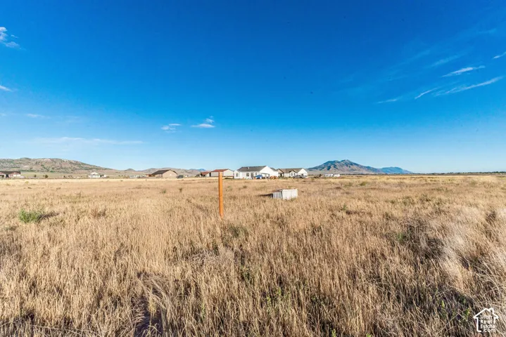Expansive lot featuring a large field of dry grass and distant mountain scenery