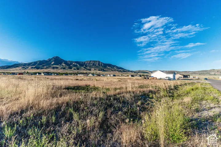 Expansive open lot featuring natural grasses and a paved road