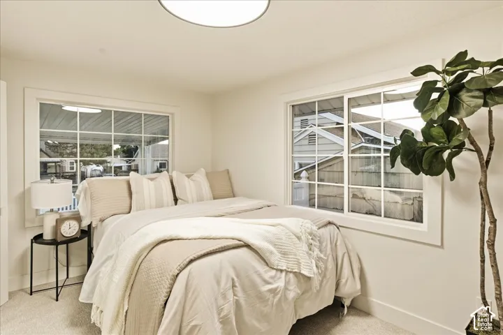 Wall-to-wall carpeting with multiple windows featuring grid patterns and white trim