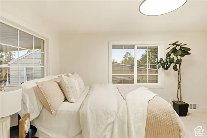 Wall-to-wall carpeting and white window frames