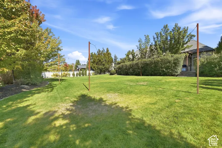 Expansive lawn area with mature trees and established perimeter hedges