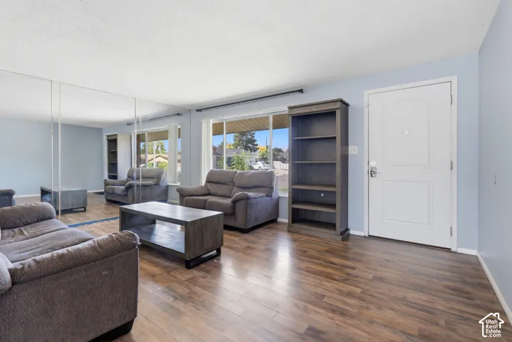 Wood-finish flooring throughout, light blue wall paint, multiple windows, and a white paneled entry door