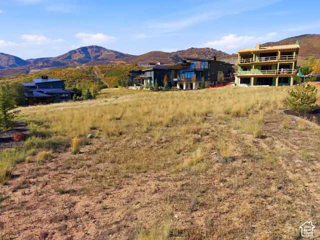 Expansive undeveloped lot with existing natural ground cover