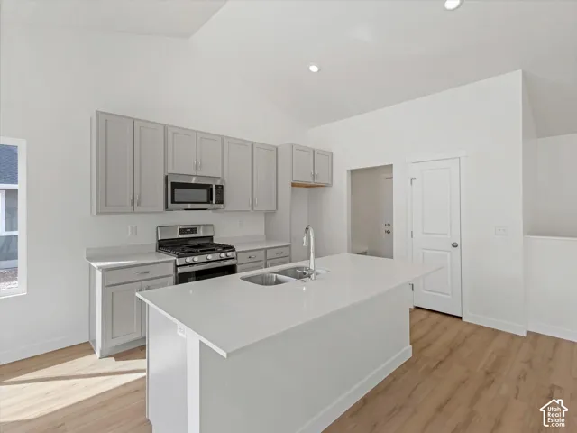 Kitchen featuring vaulted ceilings, light wood-finish flooring, light gray cabinetry, stainless steel appliances, and a central island with an undermount sink
