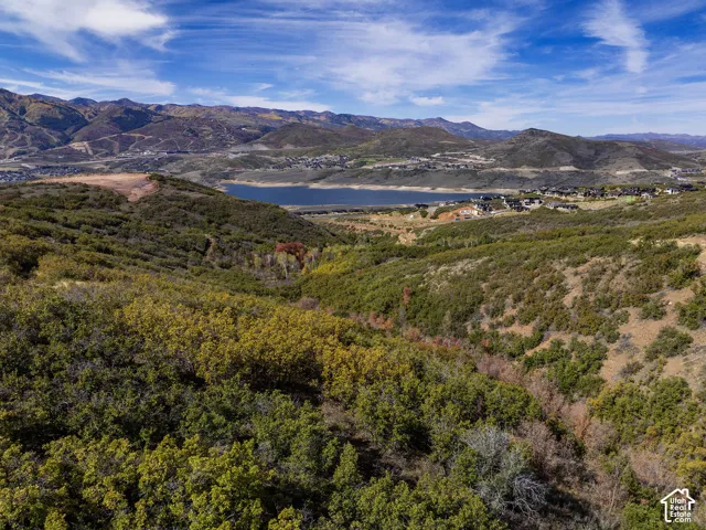 Expansive natural landscape with varied foliage