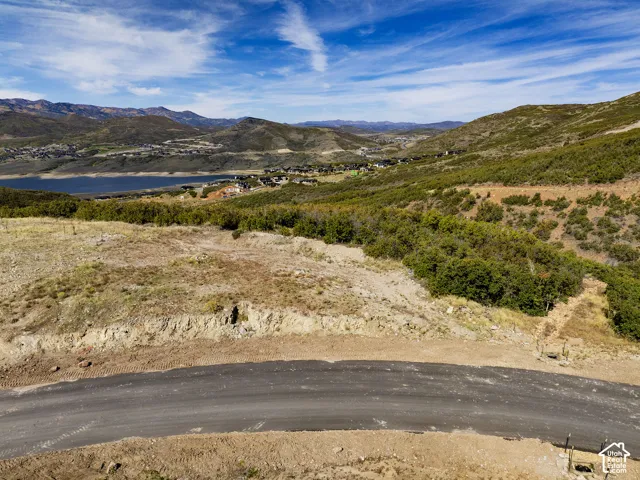 Paved road access, mountainous terrain, distant water body, natural vegetation, and scattered residential properties
