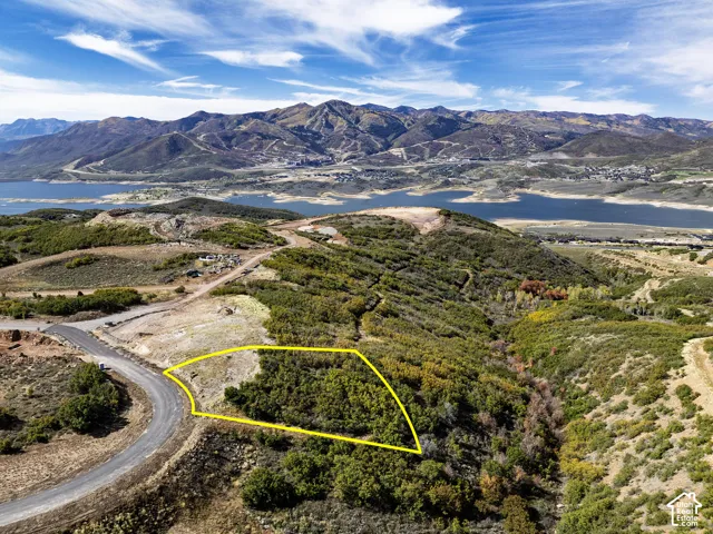 Mountainous terrain with natural vegetation, curved paved road, and distant body of water