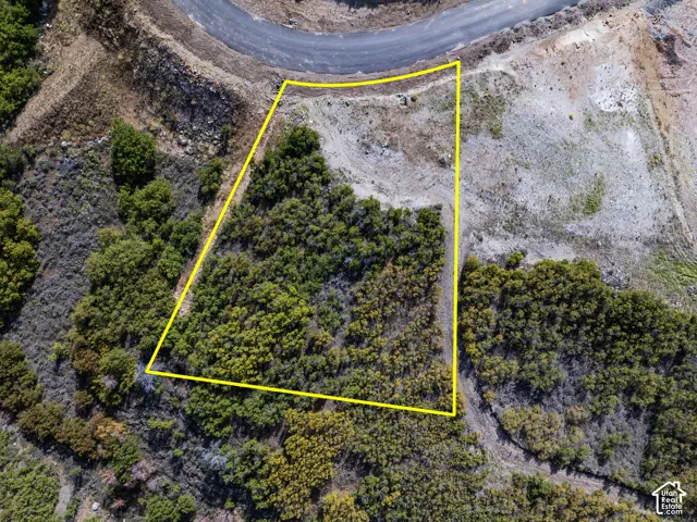 Expansive undeveloped land with a partial paved road border