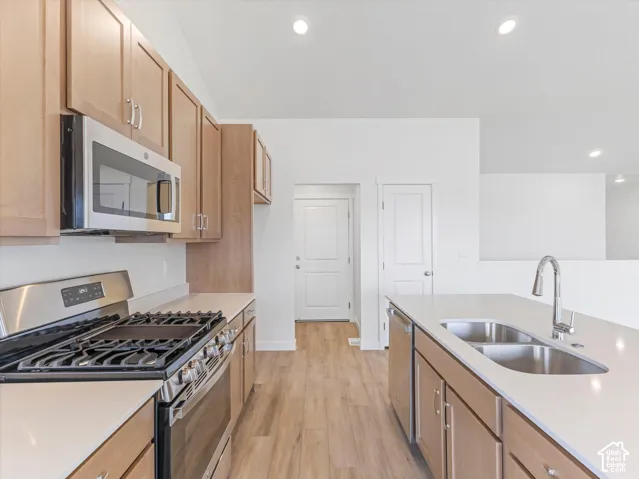 Kitchen featuring recessed lighting, wood-finish flooring, light wood cabinetry, stainless steel appliances, and a kitchen island with an undermount double-basin sink