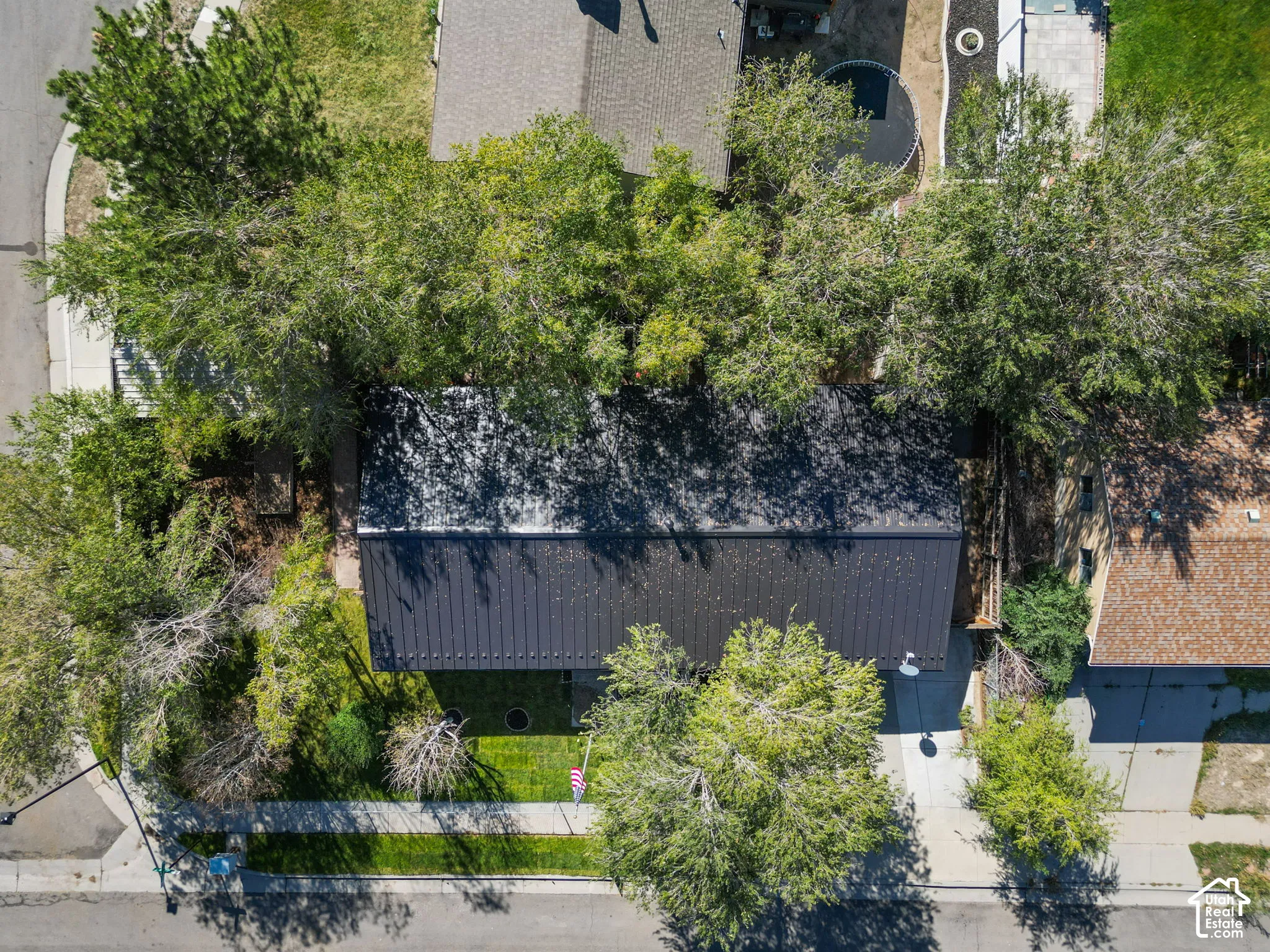 aerial view