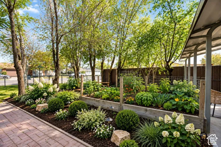 Future potential of what garden area could be...