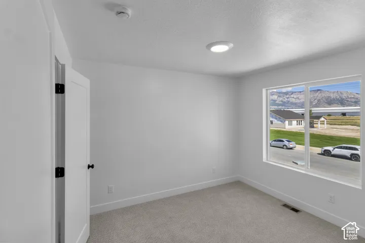 Recessed ceiling light, white paneled door with matte black hardware, carpeted flooring, and a window with mountain scenery
