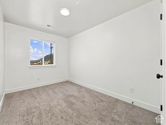 Neutral-toned carpeting paired with white walls, a white ceiling, and a single window