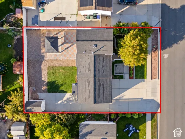 Front yard with mature tree and concrete sidewalk