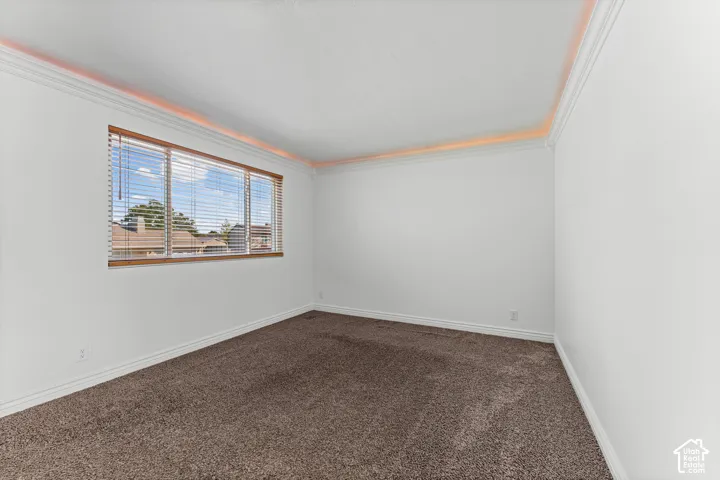 Window with wood-finish trim, crown molding, and plush carpeting