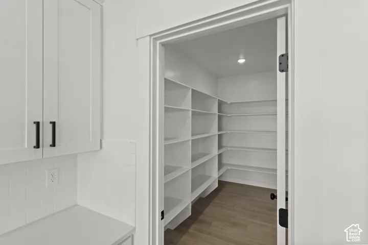 Walk-in pantry featuring extensive shelving, recessed lighting, and wood-finish flooring