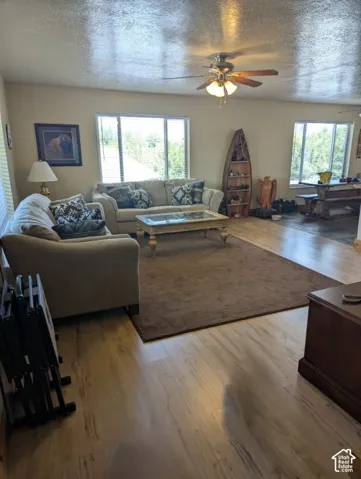 Spacious Living Room - Wood-finish flooring throughout, ceiling fan & beautiful wood trim & doors!