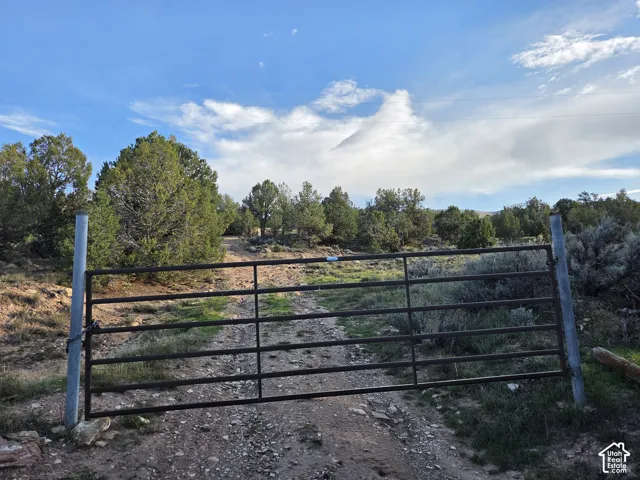Gated Driveway Entrance