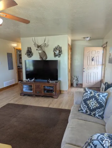 Spacious Living Room - Wood-finish flooring throughout, ceiling fan & beautiful wood trim & doors!
