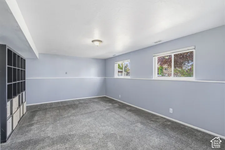 Gray carpeting with white trim, built-in shelving, and two windows