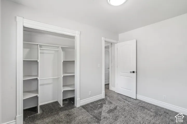 Built-in closet shelving, integrated hanging rod, gray carpet flooring, white interior door, and ceiling-mounted light fixture