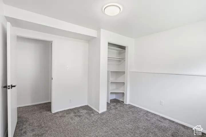 Plush gray carpeting, white painted walls, and built-in closet shelving