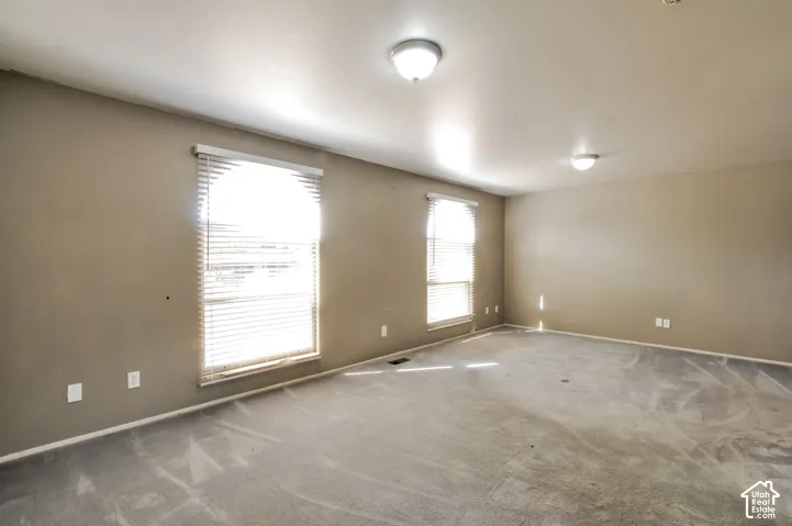 Spacious room featuring neutral wall tones, two windows with blinds, a ceiling-mounted light fixture, and carpet flooring