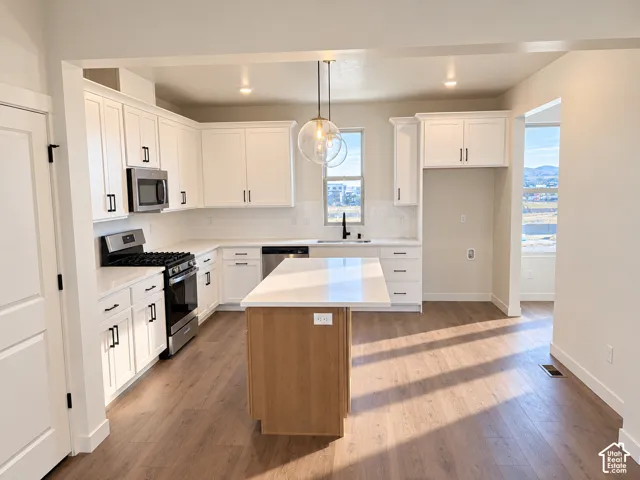 Kitchen featuring white cabinetry, wood-finish flooring, stainless steel appliances, a center island, and a window with exterior scenery