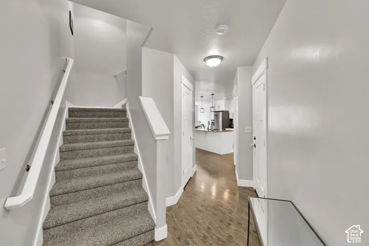 Carpeted staircase with white handrails