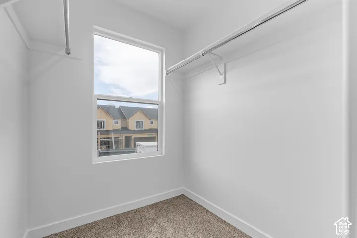 Windowed closet with ample hanging rods, shelving, and neutral carpet flooring