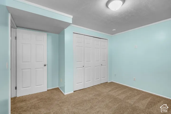 Wall-to-wall carpeting, bi-fold closet doors, and a ceiling-mounted light fixture