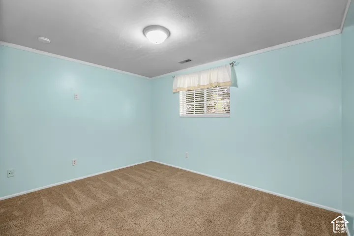 Carpeted flooring, light blue wall finishes, white trim, window with blinds, and flush mount ceiling light