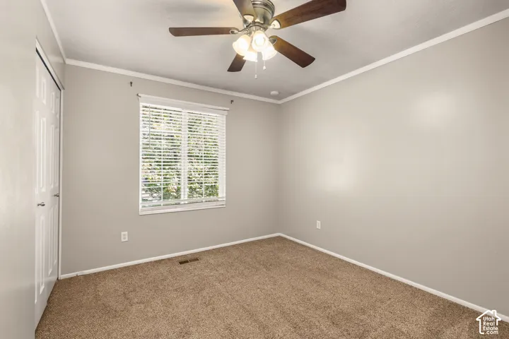 Neutral wall paint, ceiling fan with light, window with blinds, and carpeted flooring
