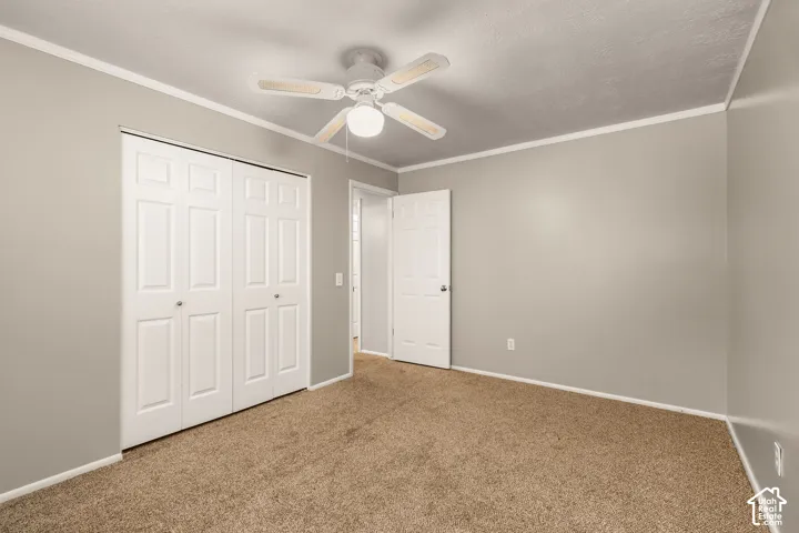 Neutral wall paint with crown molding and baseboard trim
