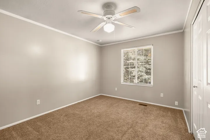 Neutral wall tones complemented by crown molding and carpeting
